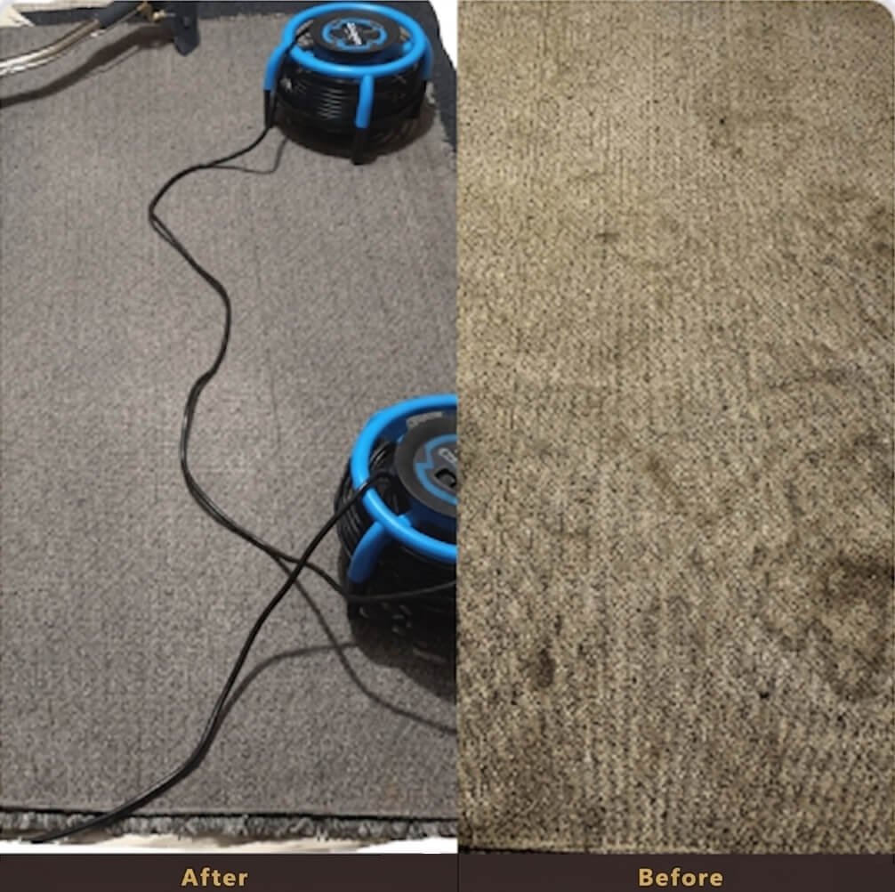 before and after icleanse 2